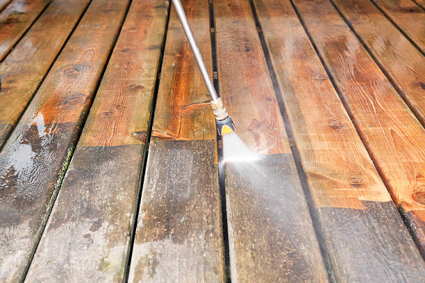 Best Soft Washing  in Appomattox, VA